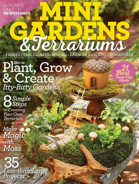 Mini Gardens & Terrariums
