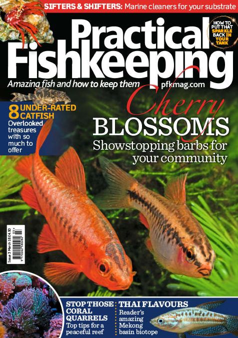 Practical Fishkeeping