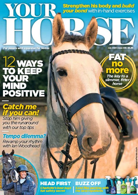 Your Horse