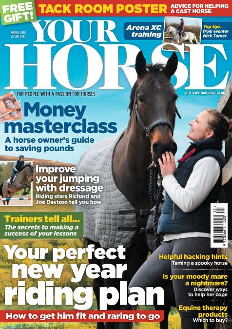 Your Horse