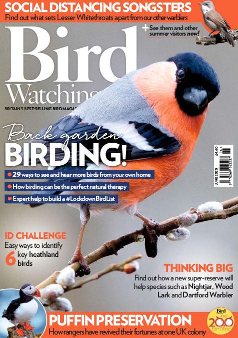 Bird Watching - annual subscription