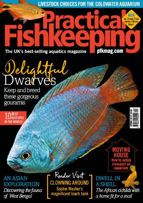 Practical Fishkeeping - annual subscription