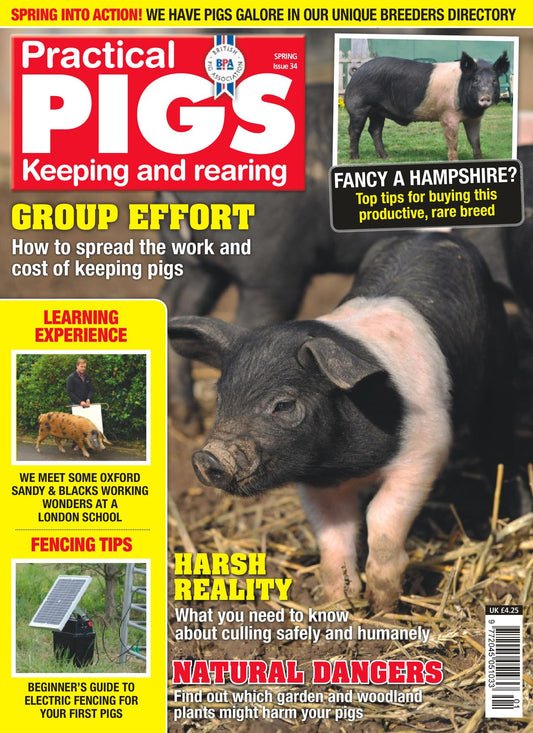 Practical Pigs - annual subscription
