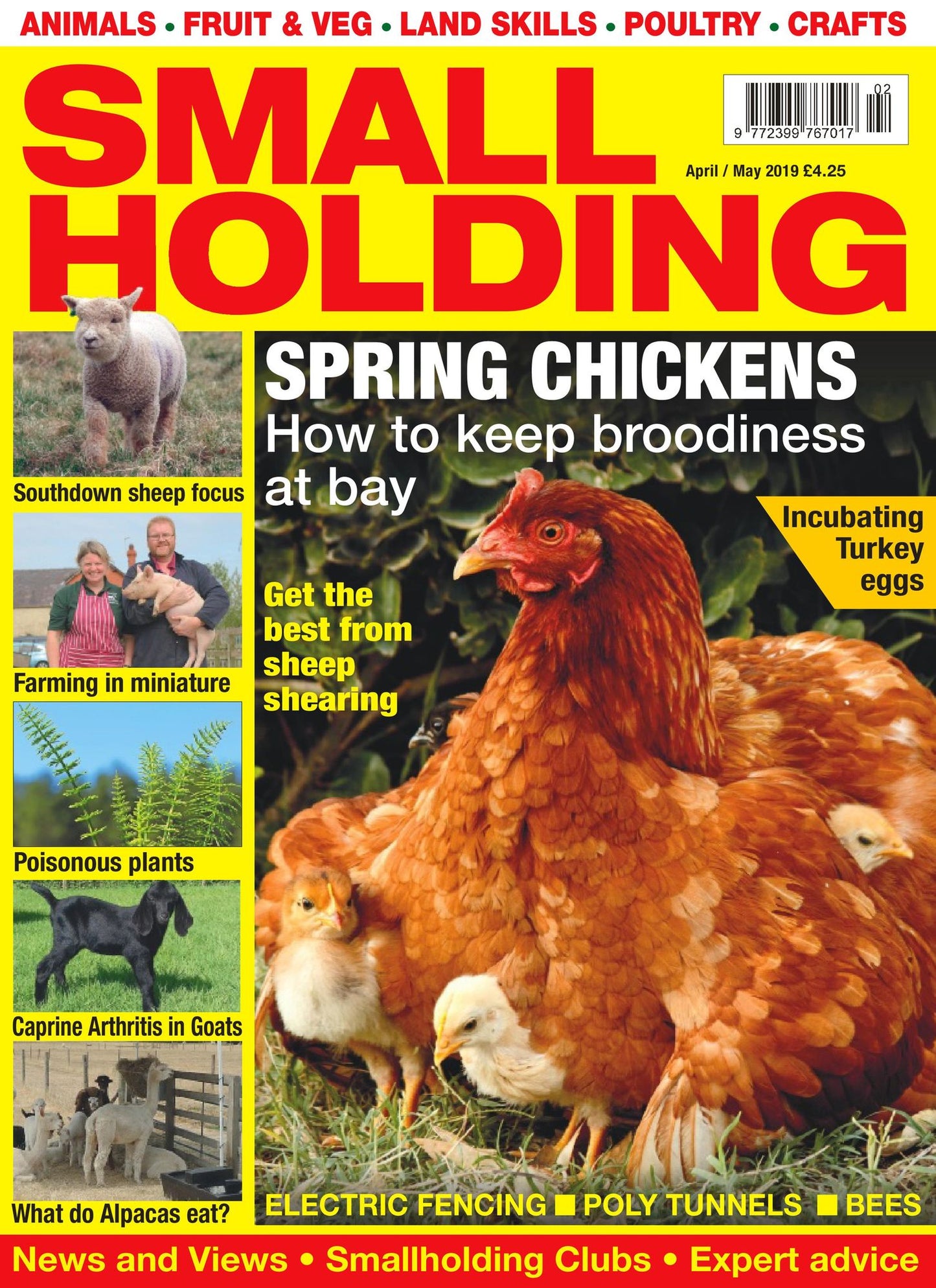 Small Holding