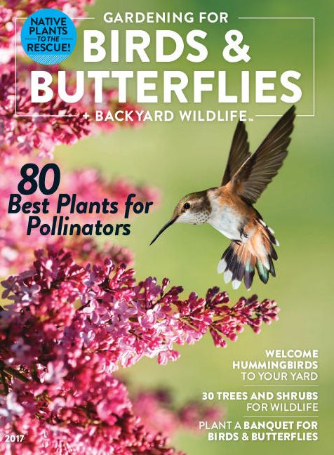 Gardening for Birds & Butterflies + Backyard Wildlife