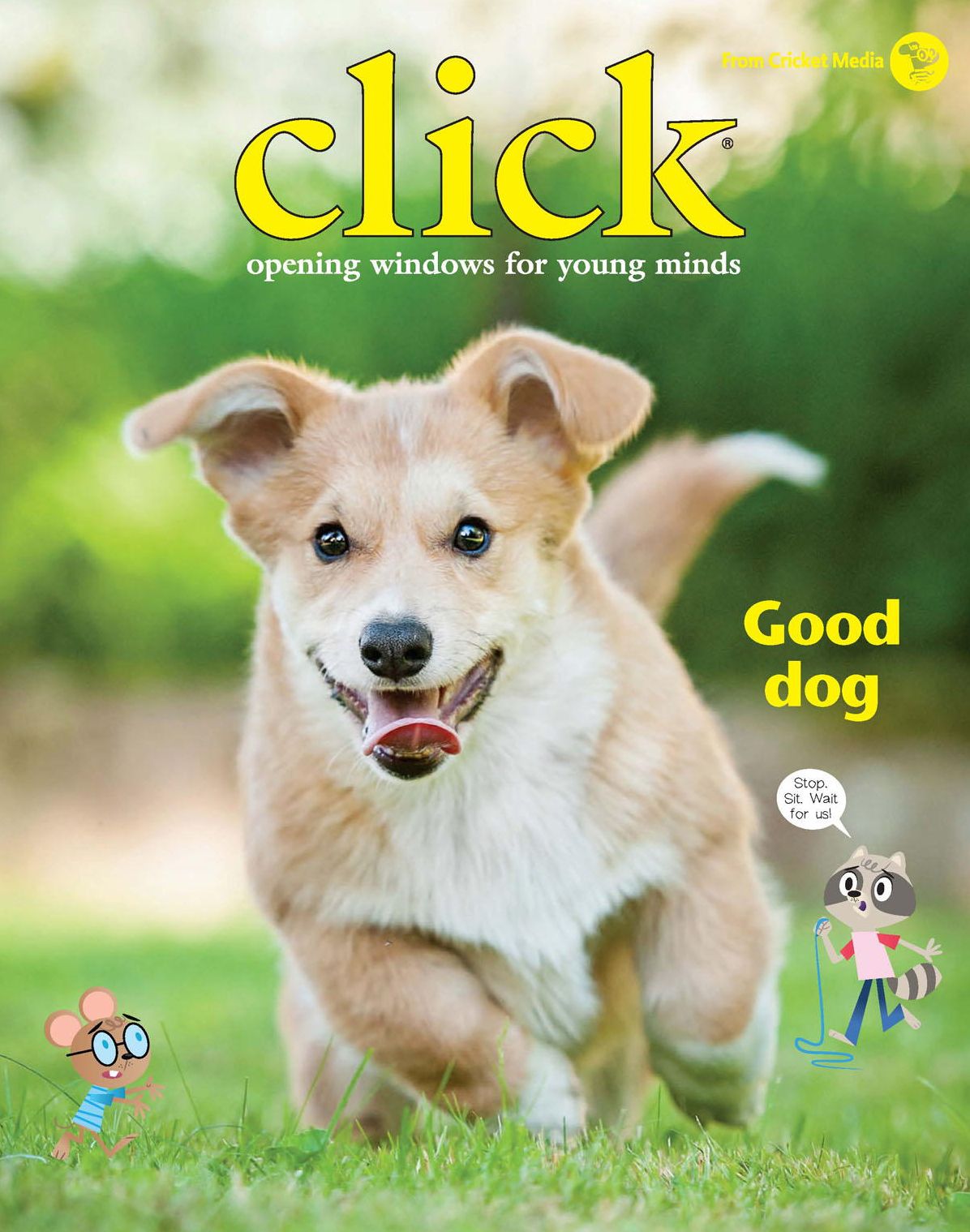 Click - annual subscription