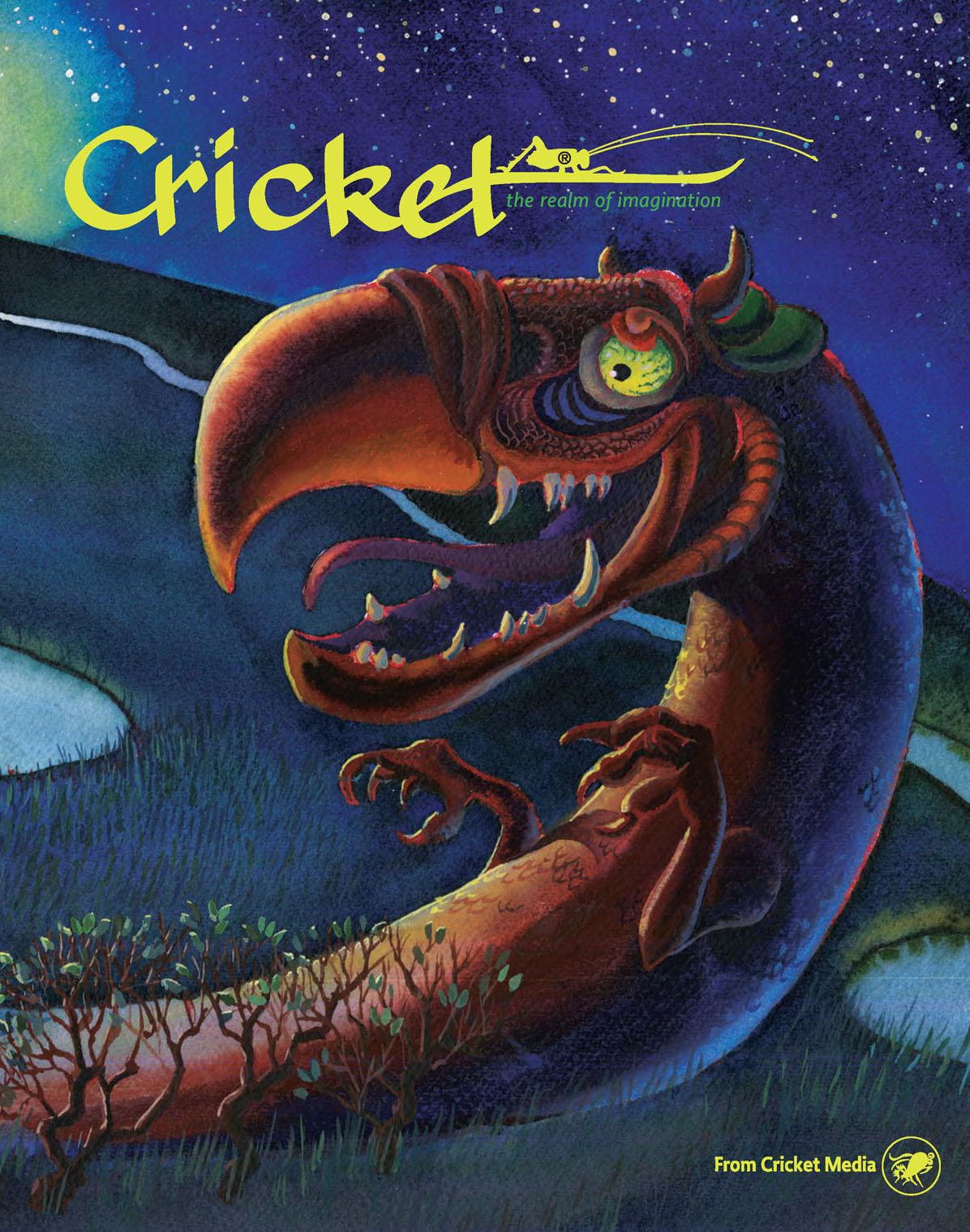 Cricket
