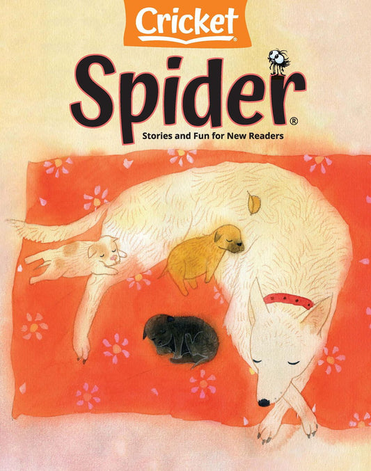Spider - annual subscription