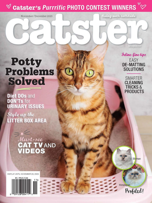Catster - annual subscription
