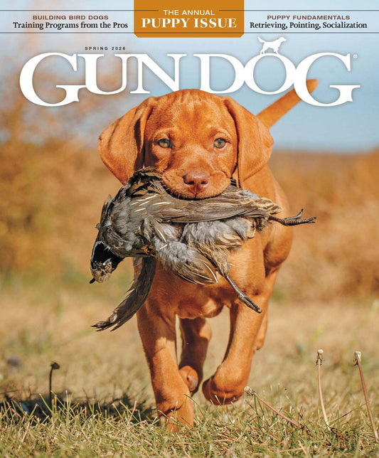 Gun Dog - annual subscription