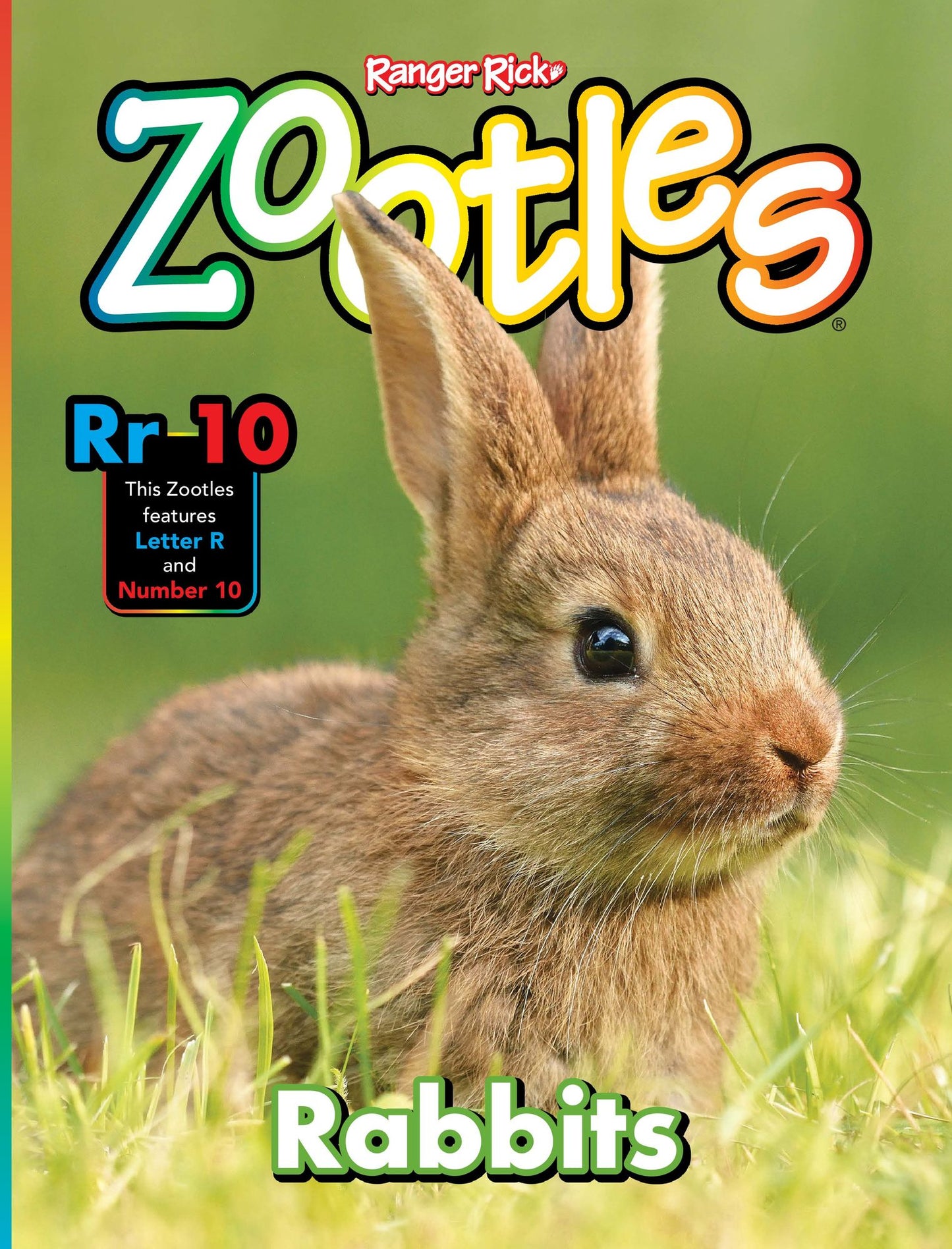 zootles - annual subscription