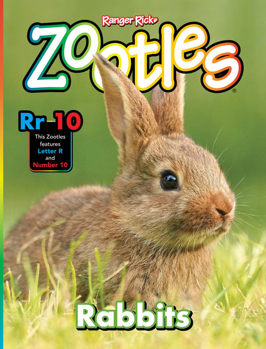 zootles - annual subscription