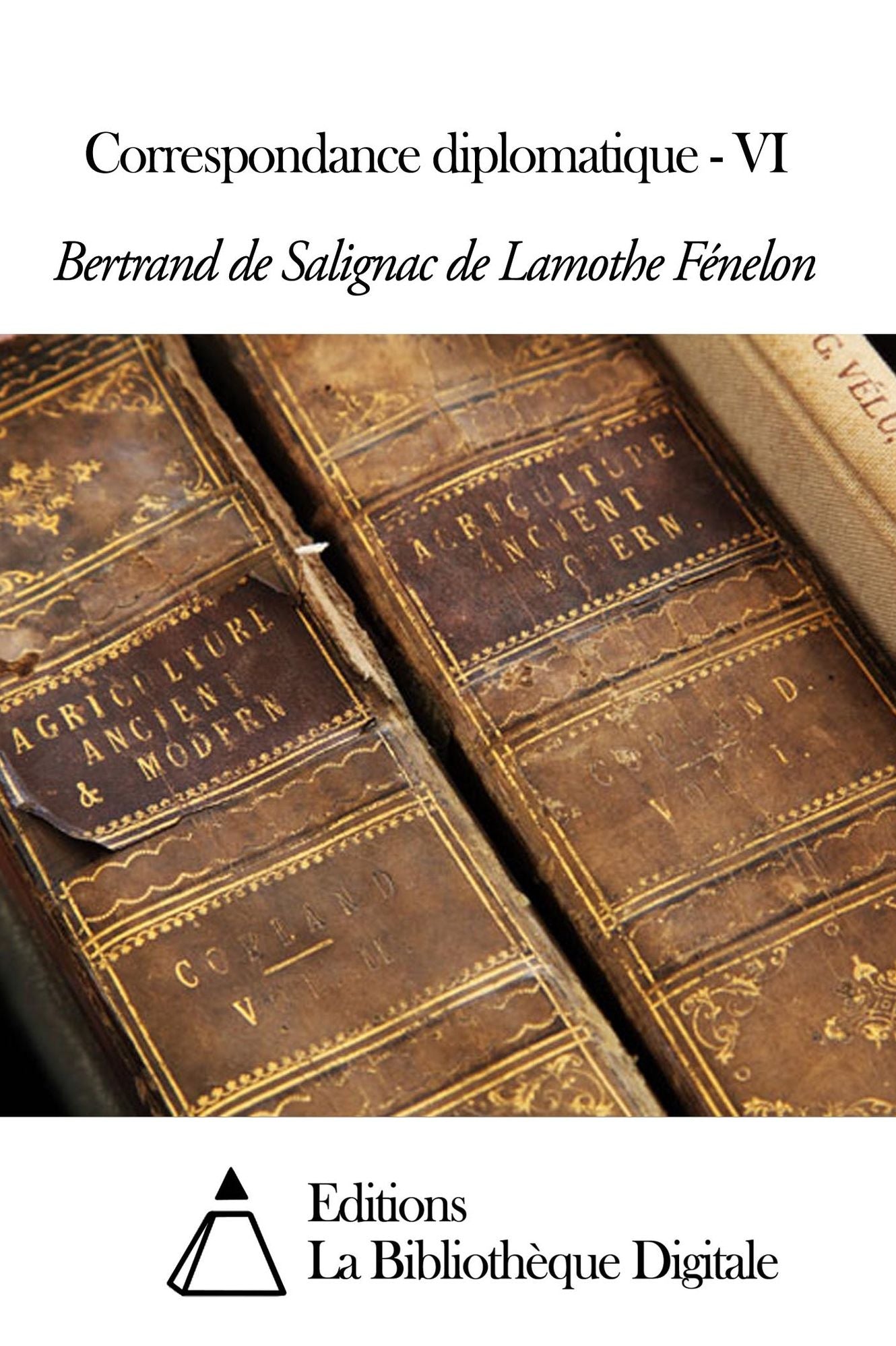 Correspondance diplomatique - VI