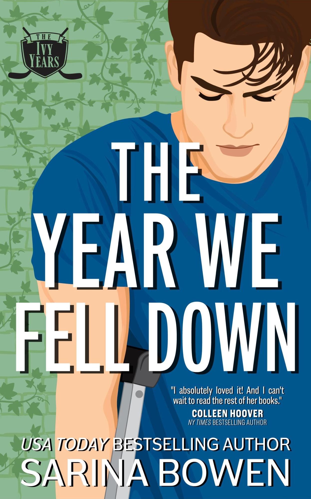 The Year We Fell Down, A Hockey Romance