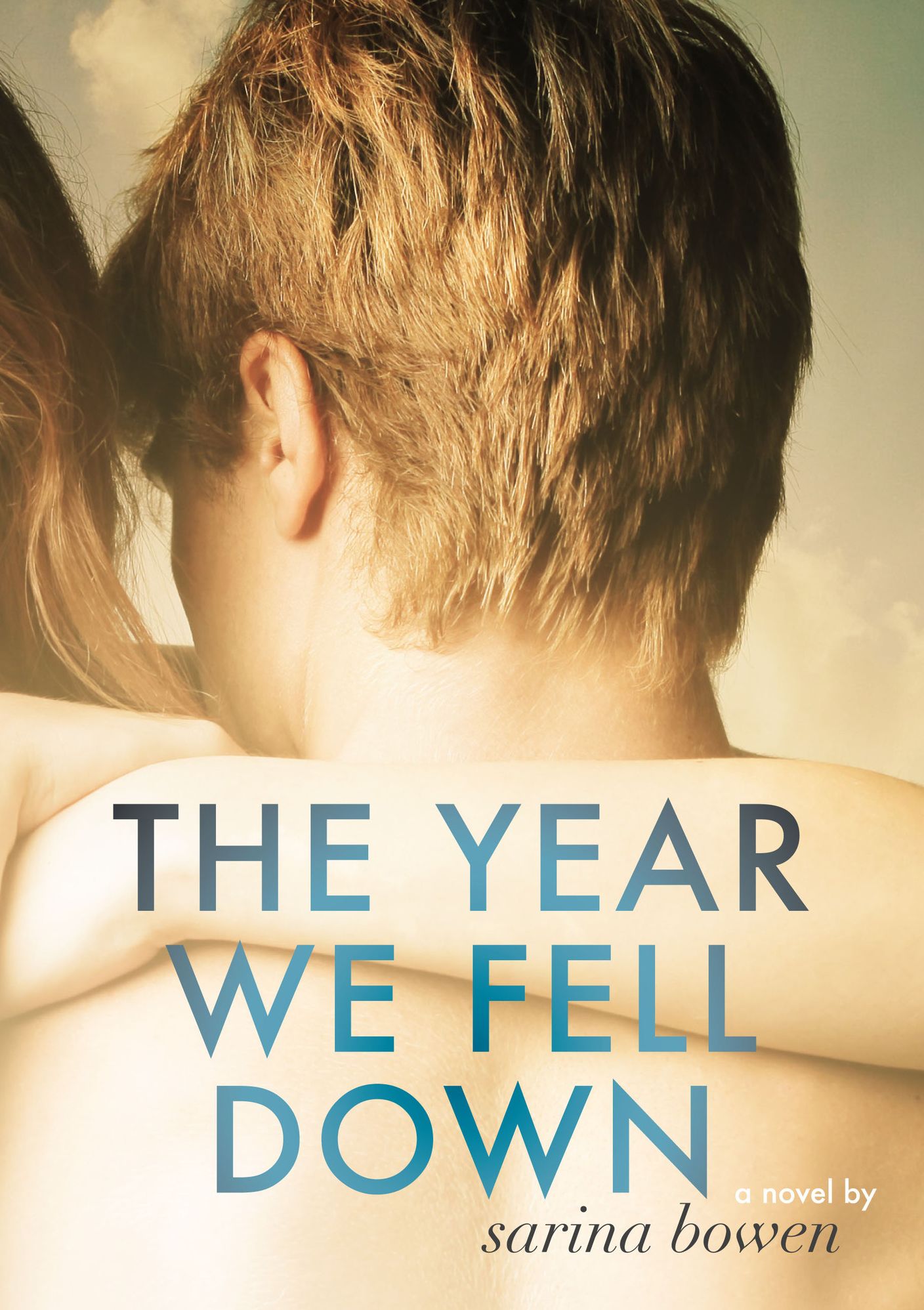 The Year We Fell Down, A Hockey Romance