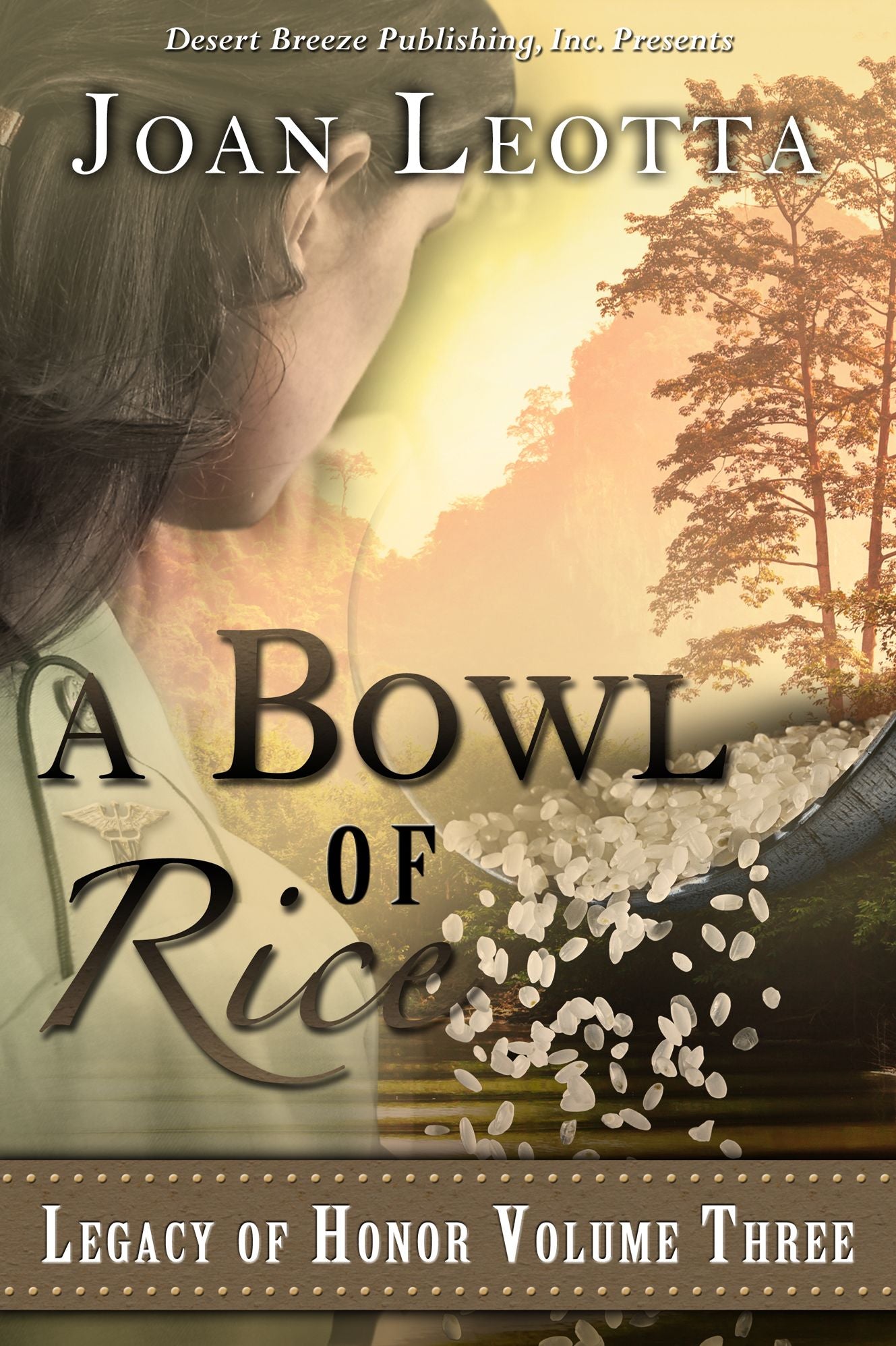 A Bowl of Rice
