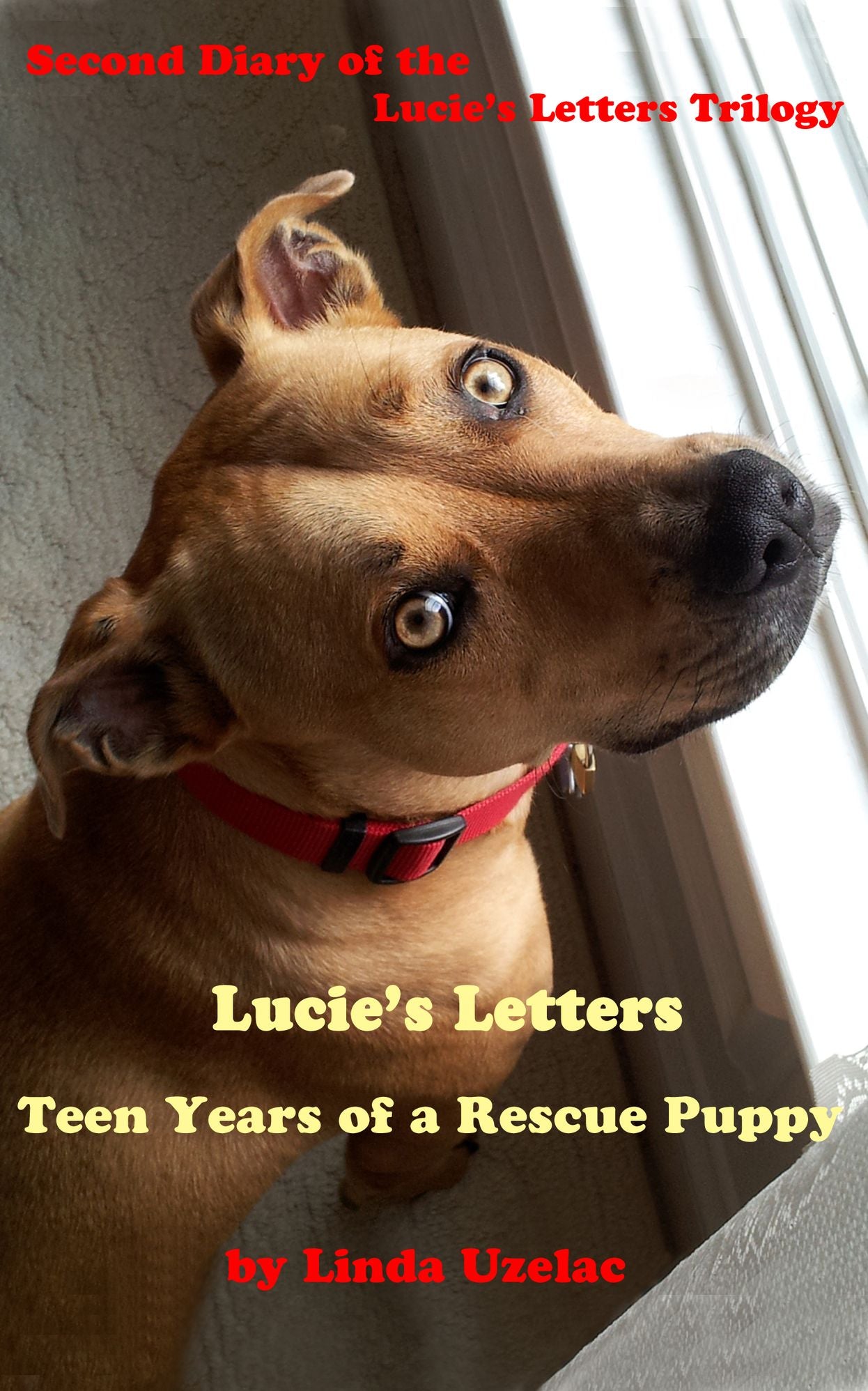 Lucie's Letters: Teen Years of a Rescue Puppy