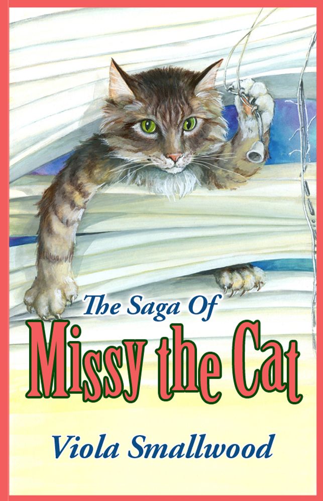 The Saga of Missy the Cat