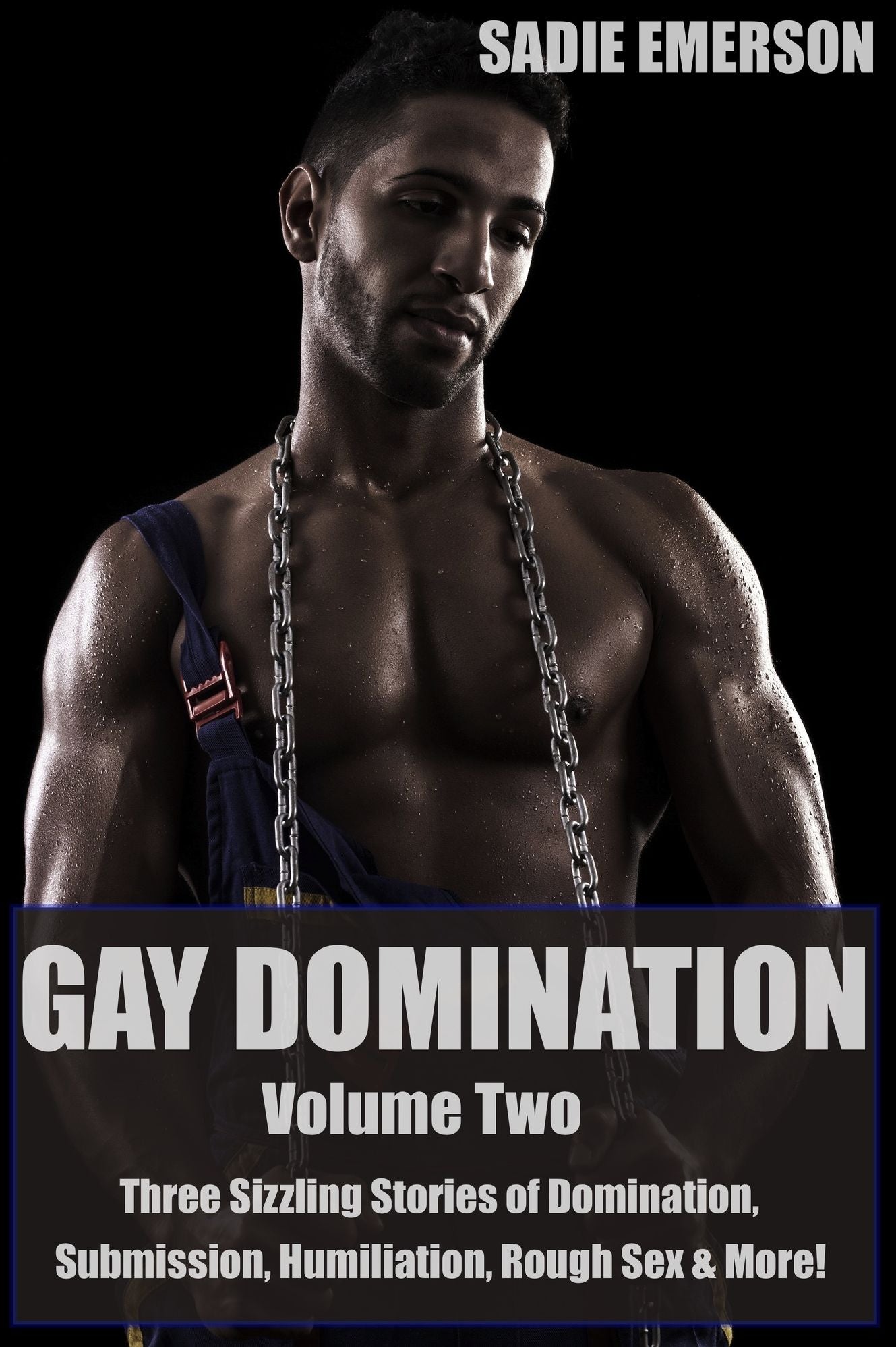 Gay Domination: Volume Two