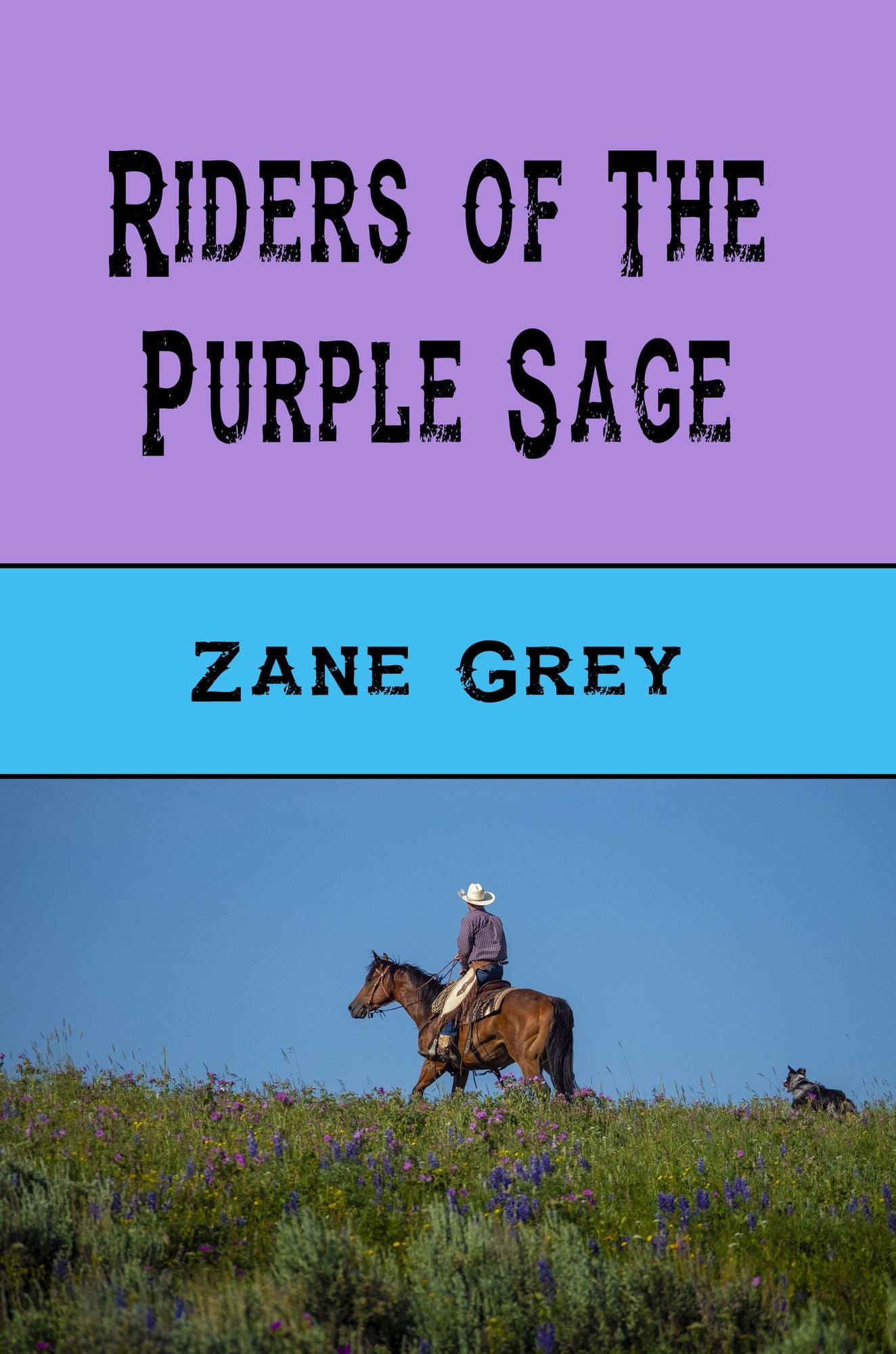 Riders of the Purple Sage (Illustrated)