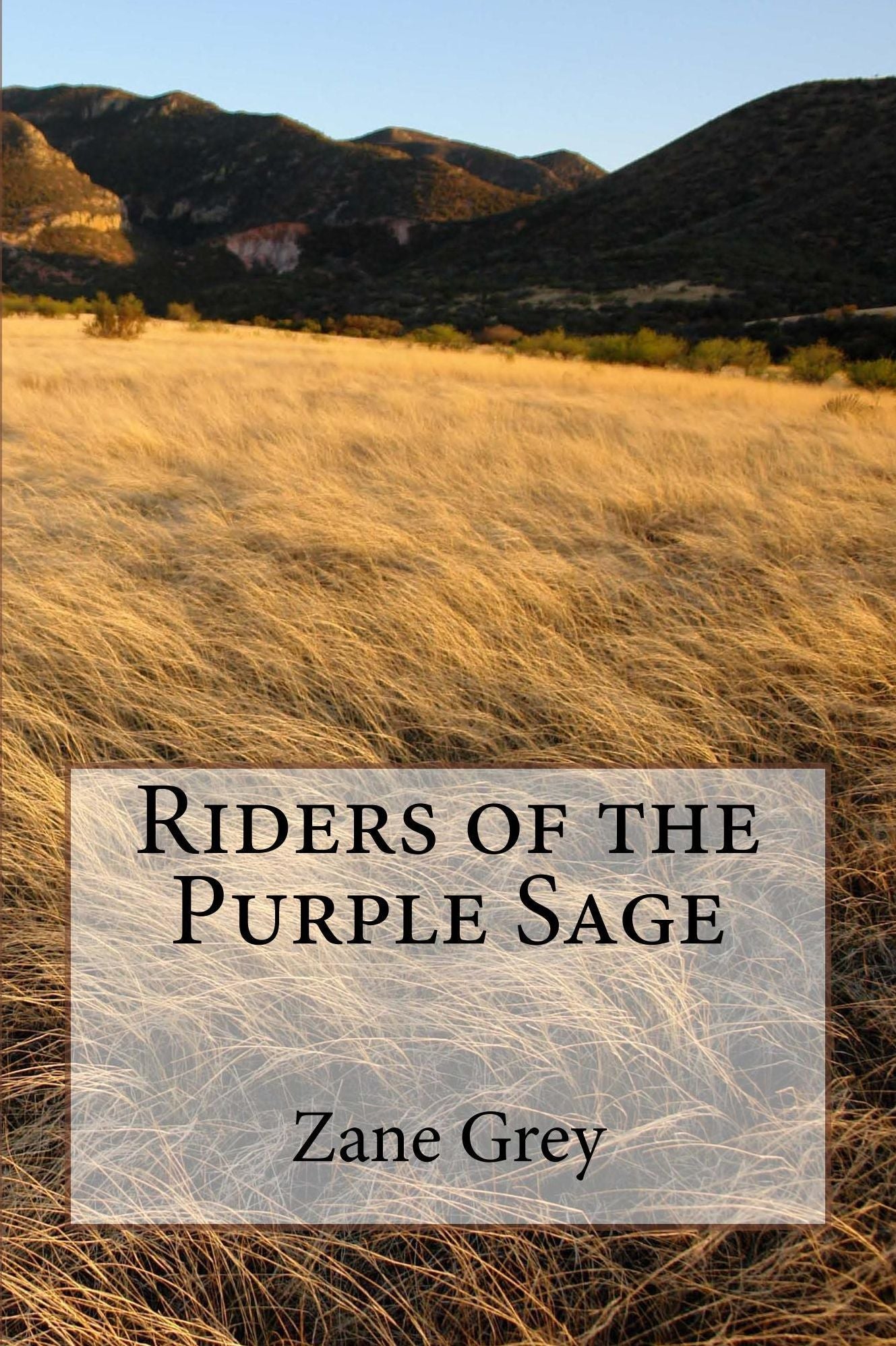 Riders of the Purple Sage (Illustrated)