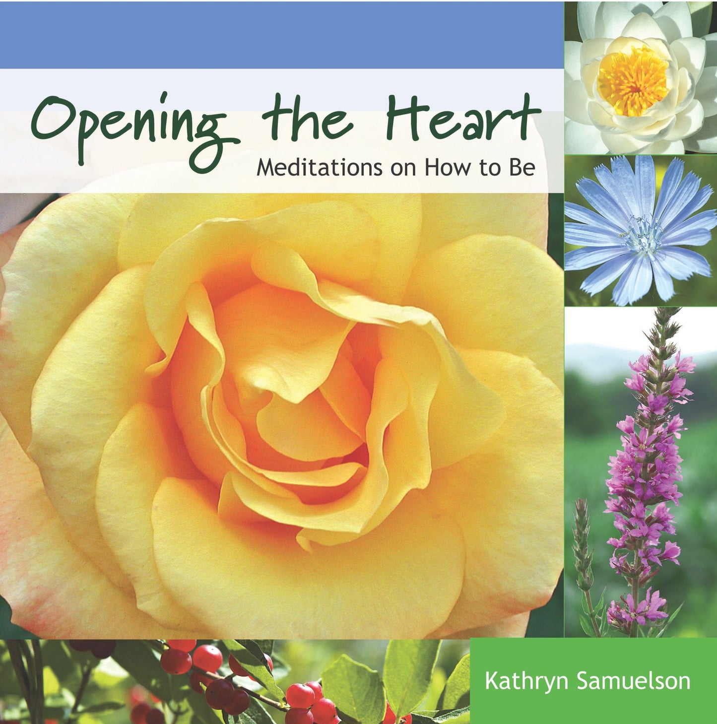 Opening the Heart: Meditations on How to Be