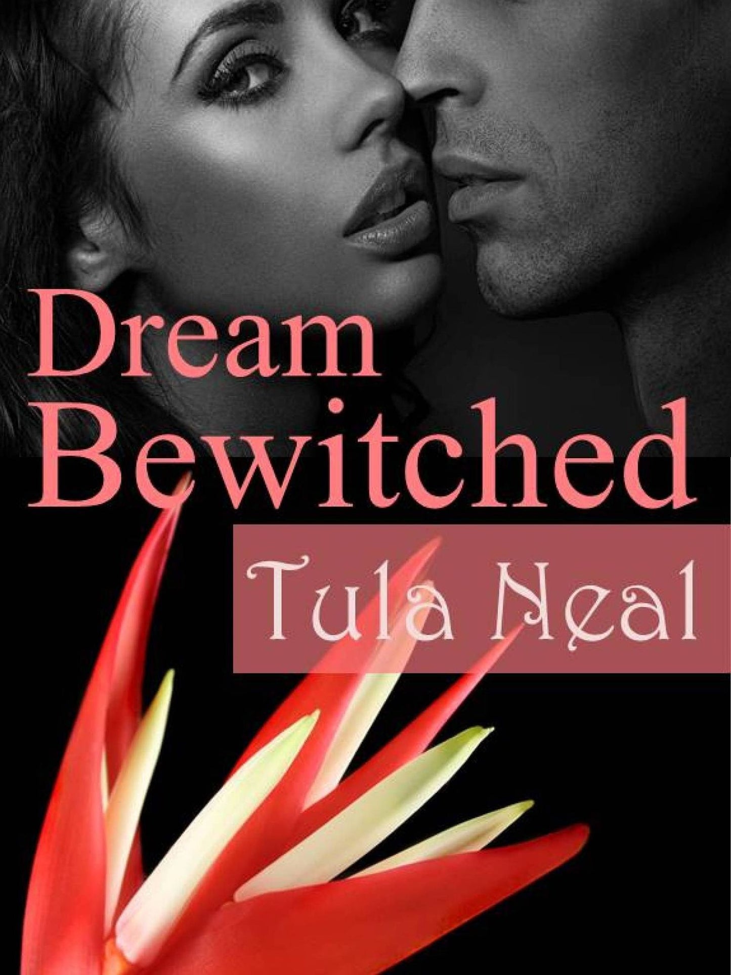 Dream Bewitched (An Erotic Pirate Romance)