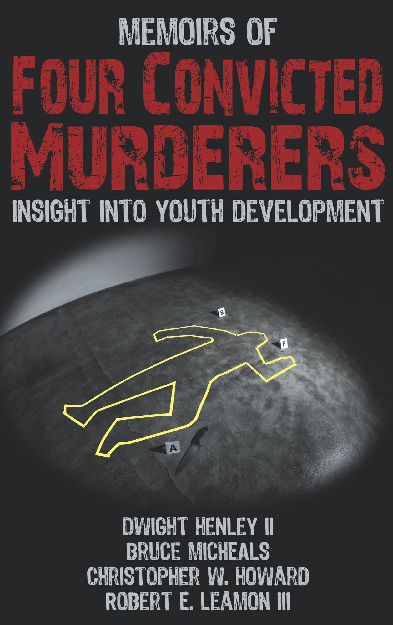 Memoirs of Four Convicted Murderers: Insight Into Youth Development