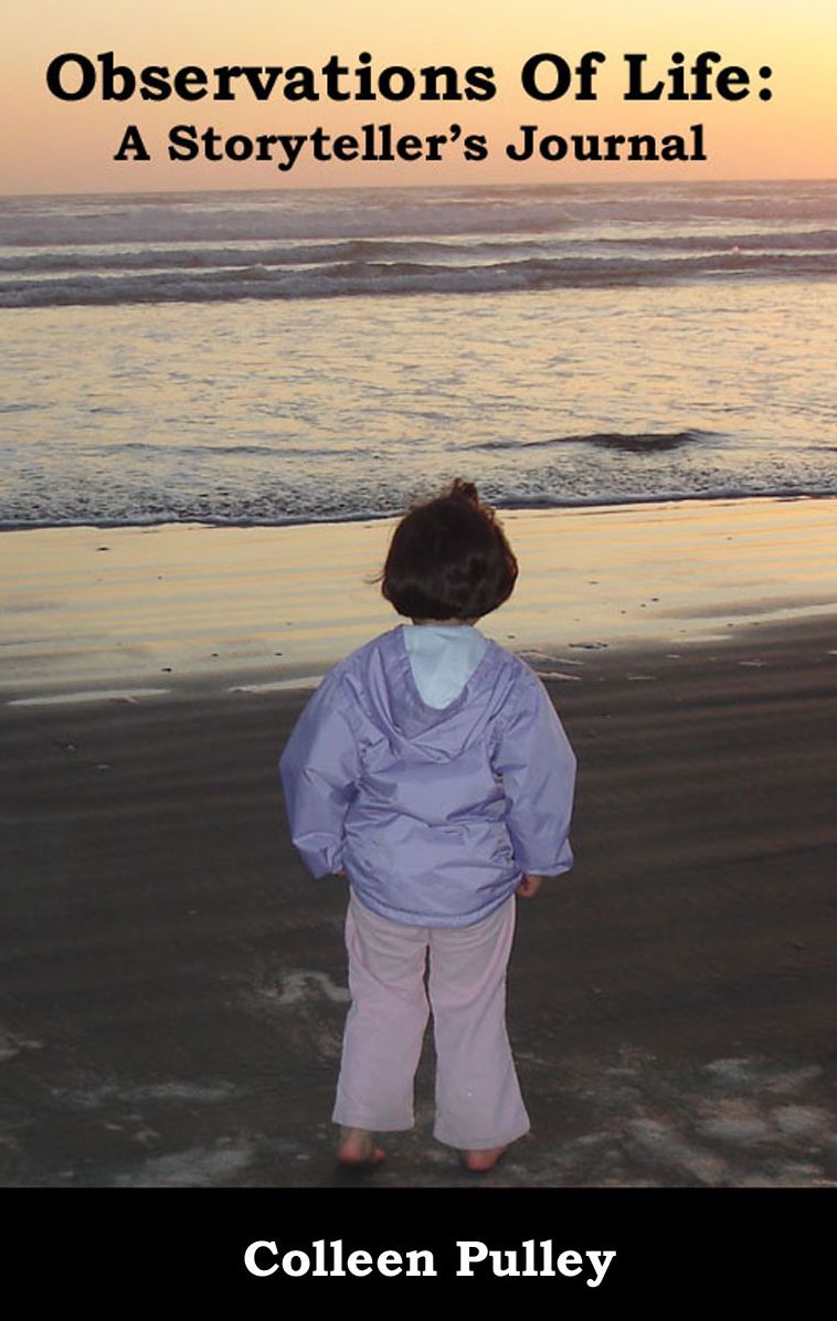 Obsevations of Life, A Storyteller's Journal