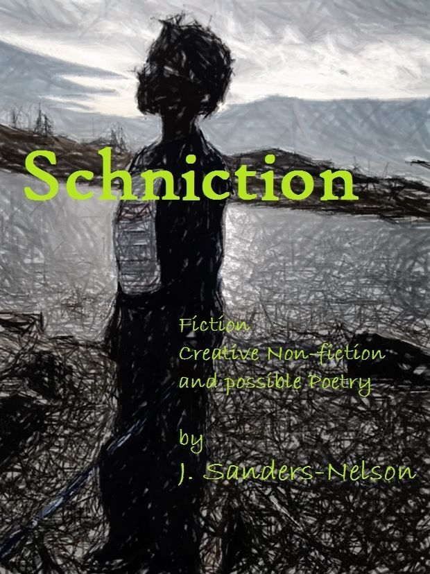 SCHNICTION