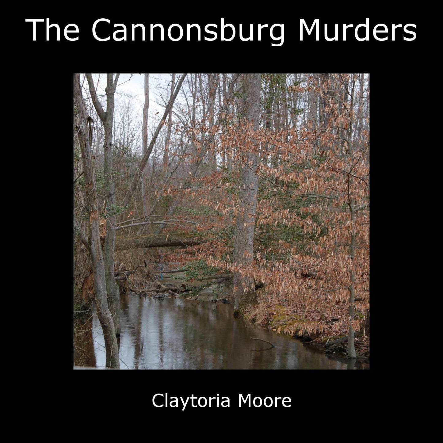 The Cannonsburg Murders