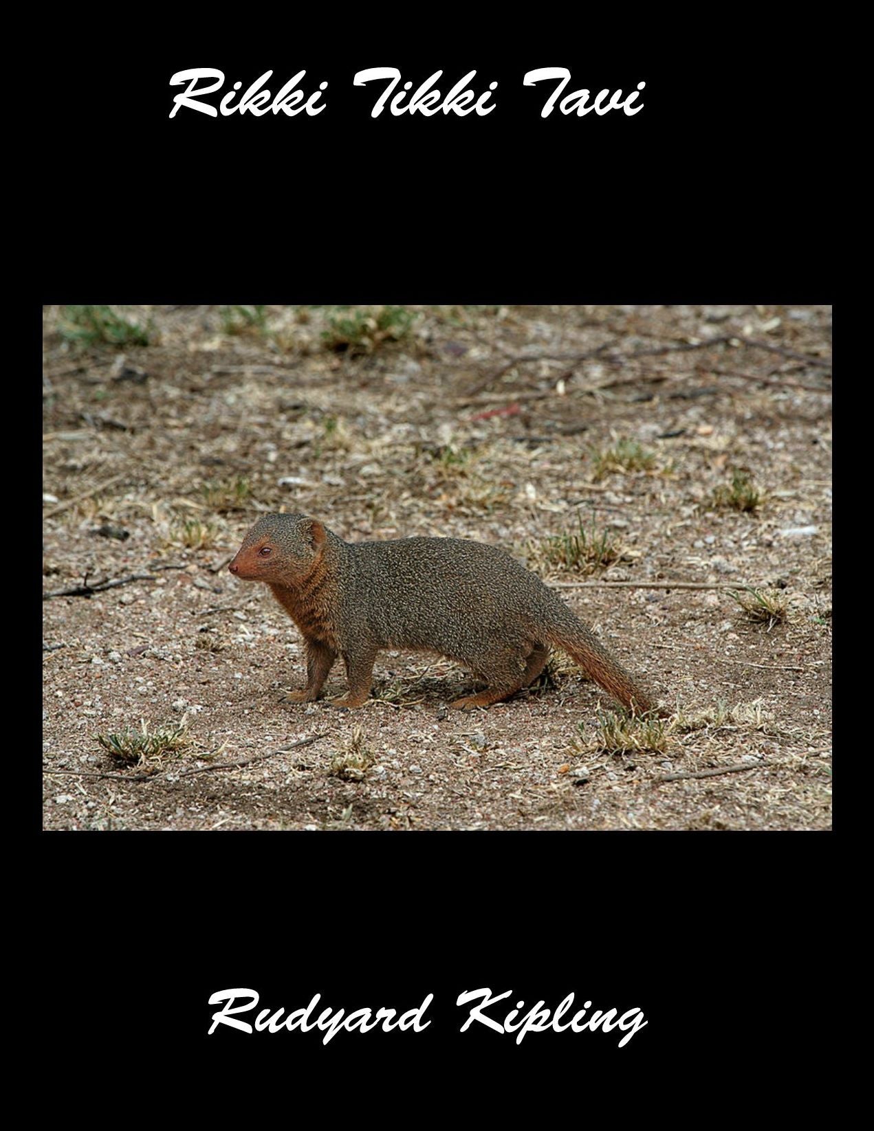 Rikki Tikki Tavi