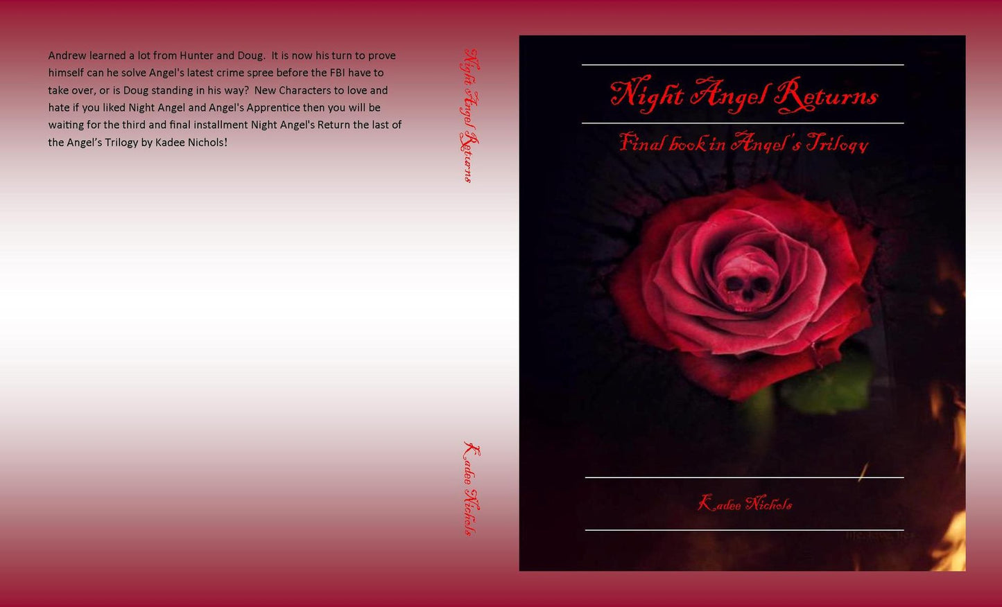 Night Angel Returns