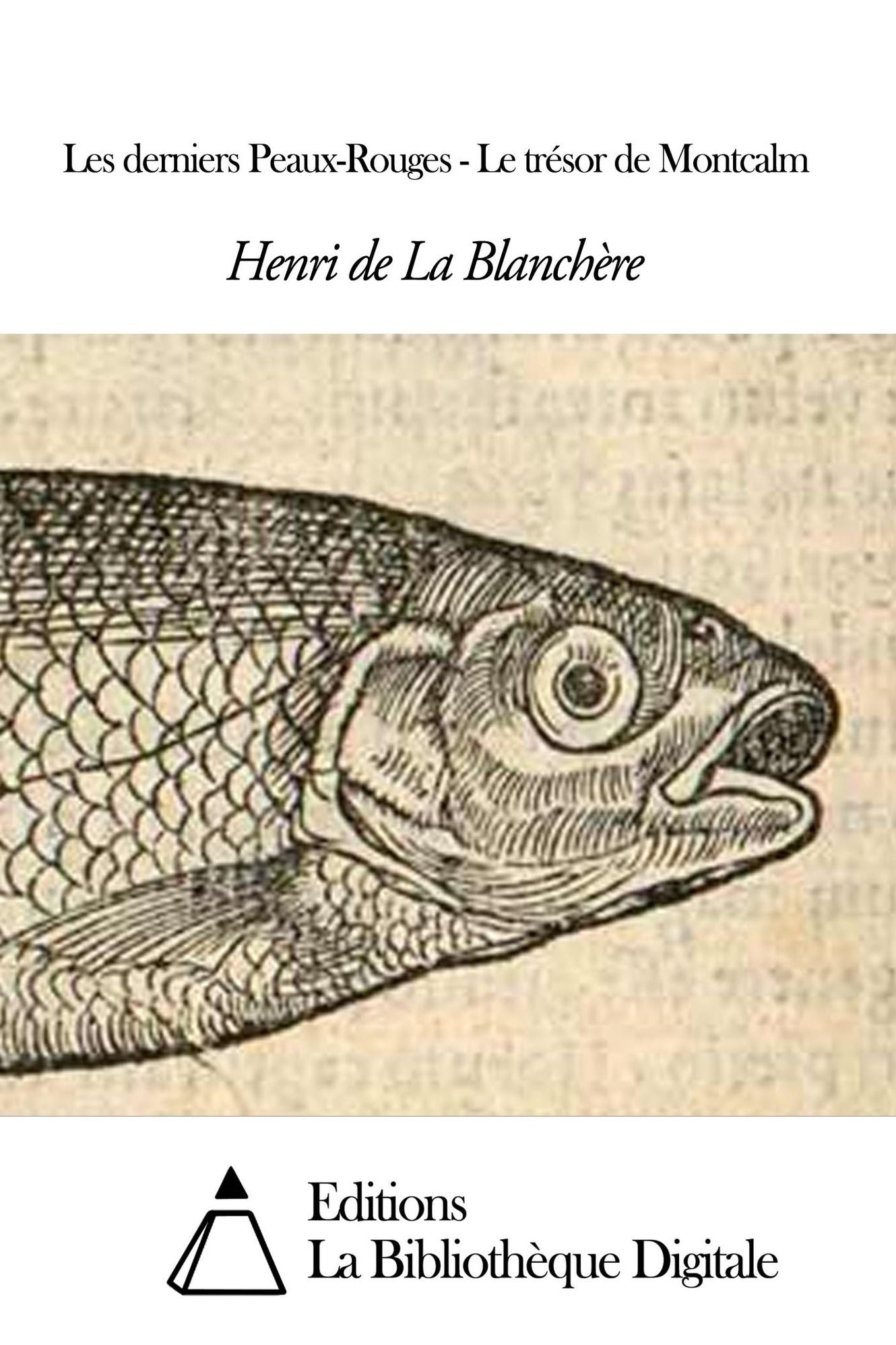 Les derniers Peaux-Rouges - Le trésor de Montcalm