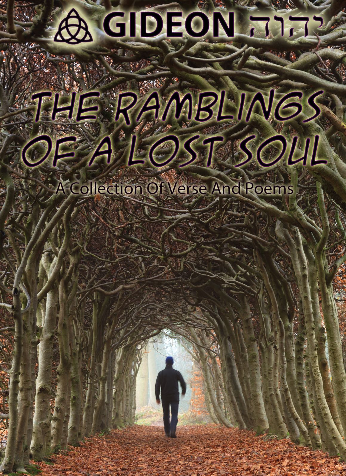 The Ramblings of a Lost Soul