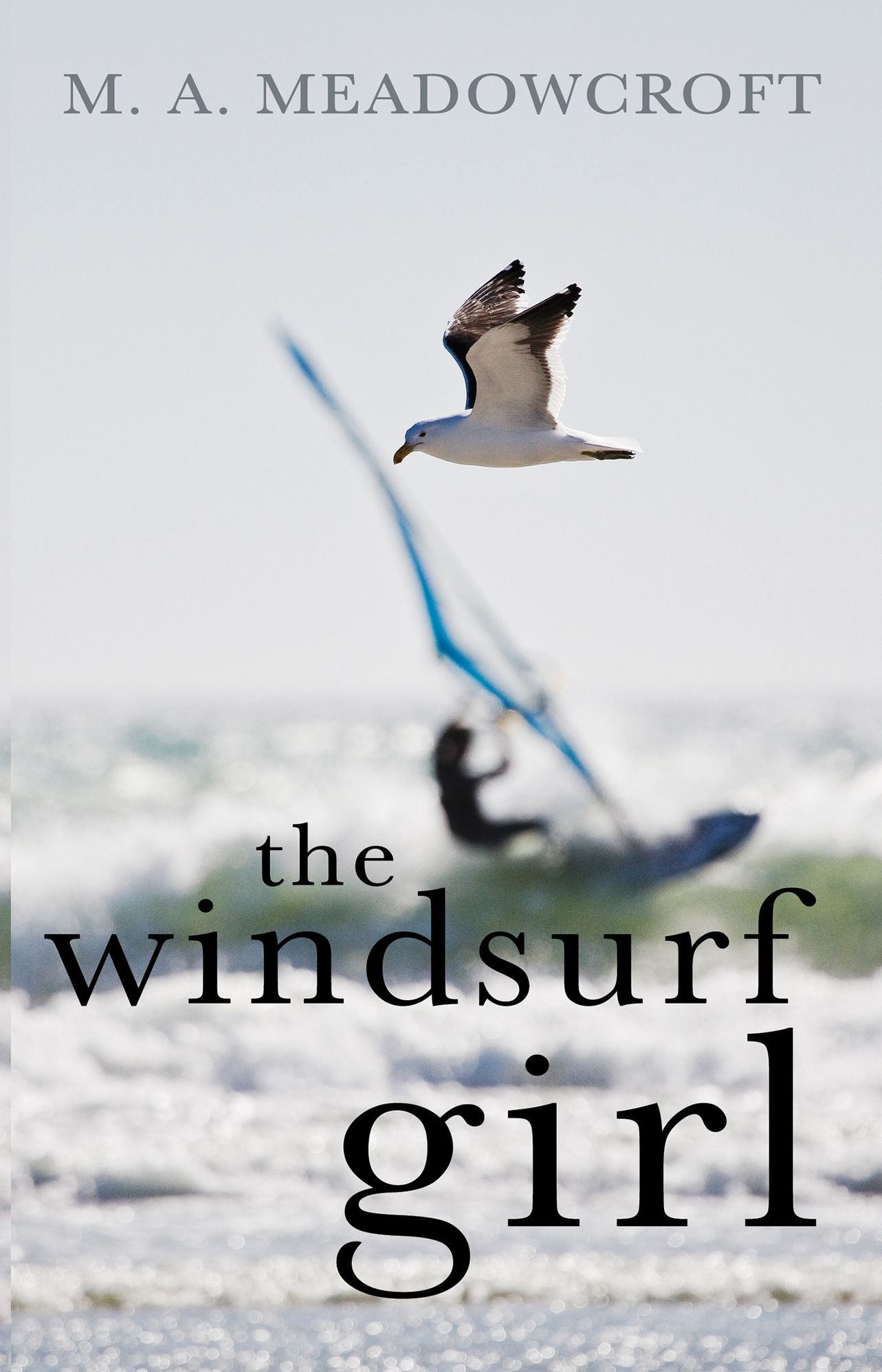 The Windsurf Girl: A story of intrigue, avarice and romance