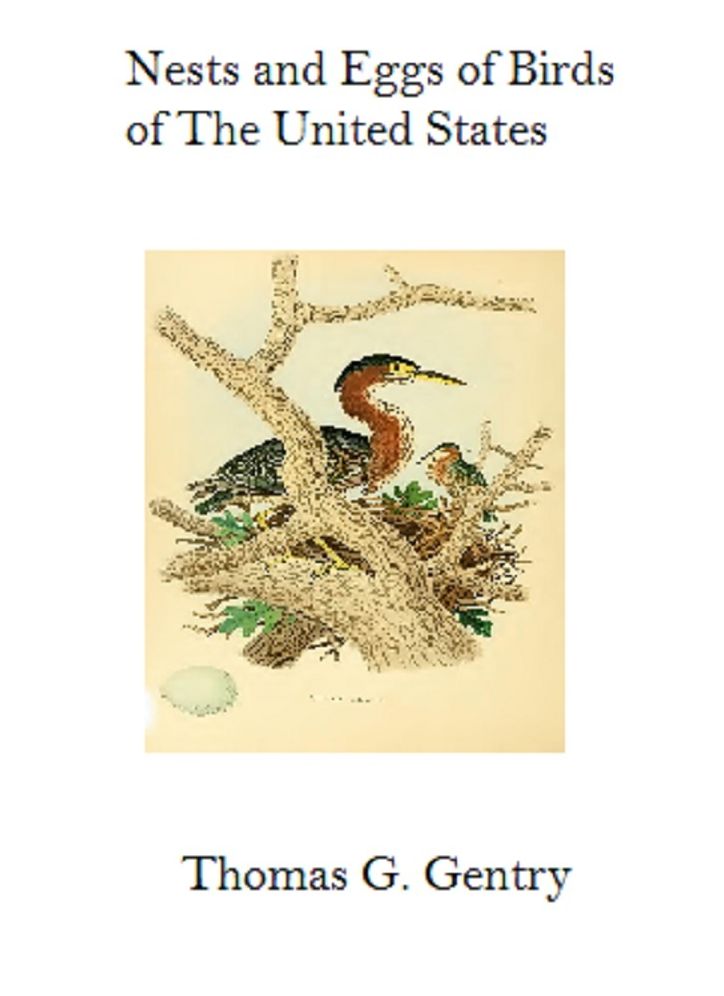 Nests and Eggs of Birds of The United States