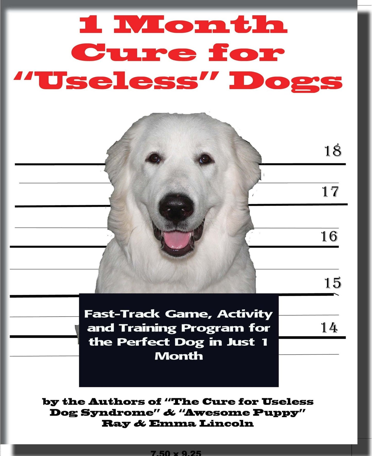 1 Month Cure for "Useless" Dogs: Fast-Track Game, Activity & Training Program for the Perfect Dog in Just 1 Month