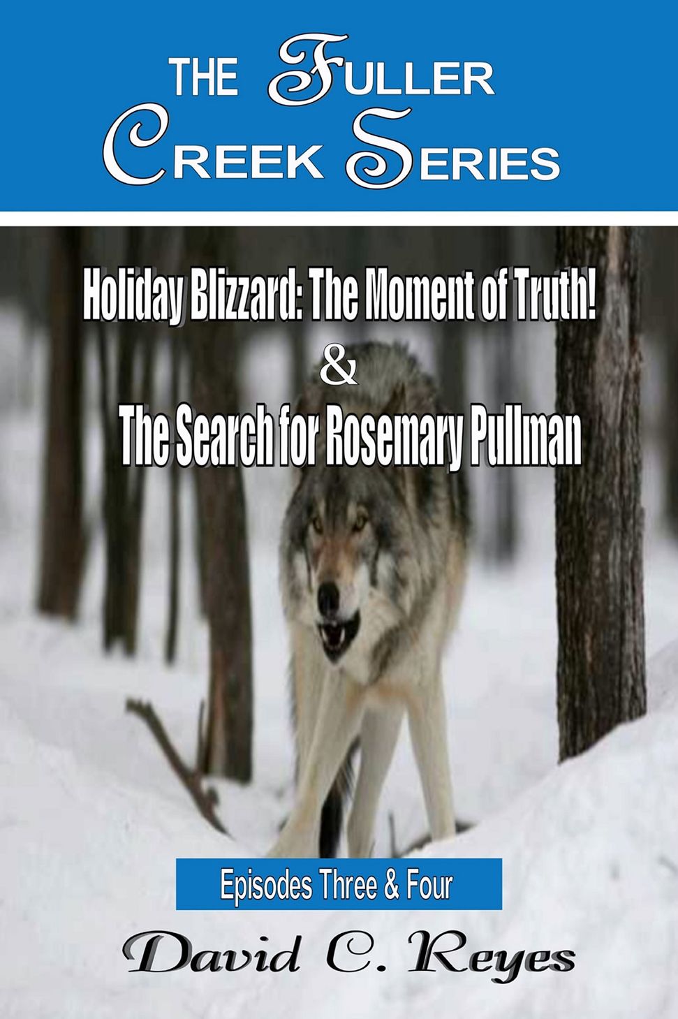 The Fuller Creek Series: Holiday Blizzard, The Moment of Truth! & The Search for Rosemary Pullman