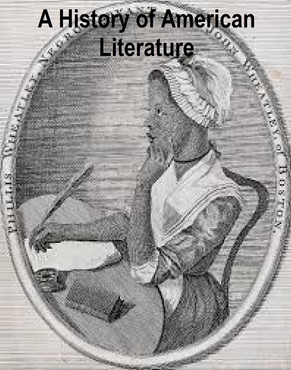 A History of American Literature