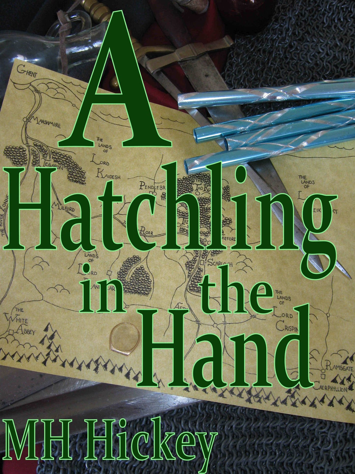 A Hatchling in the Hand