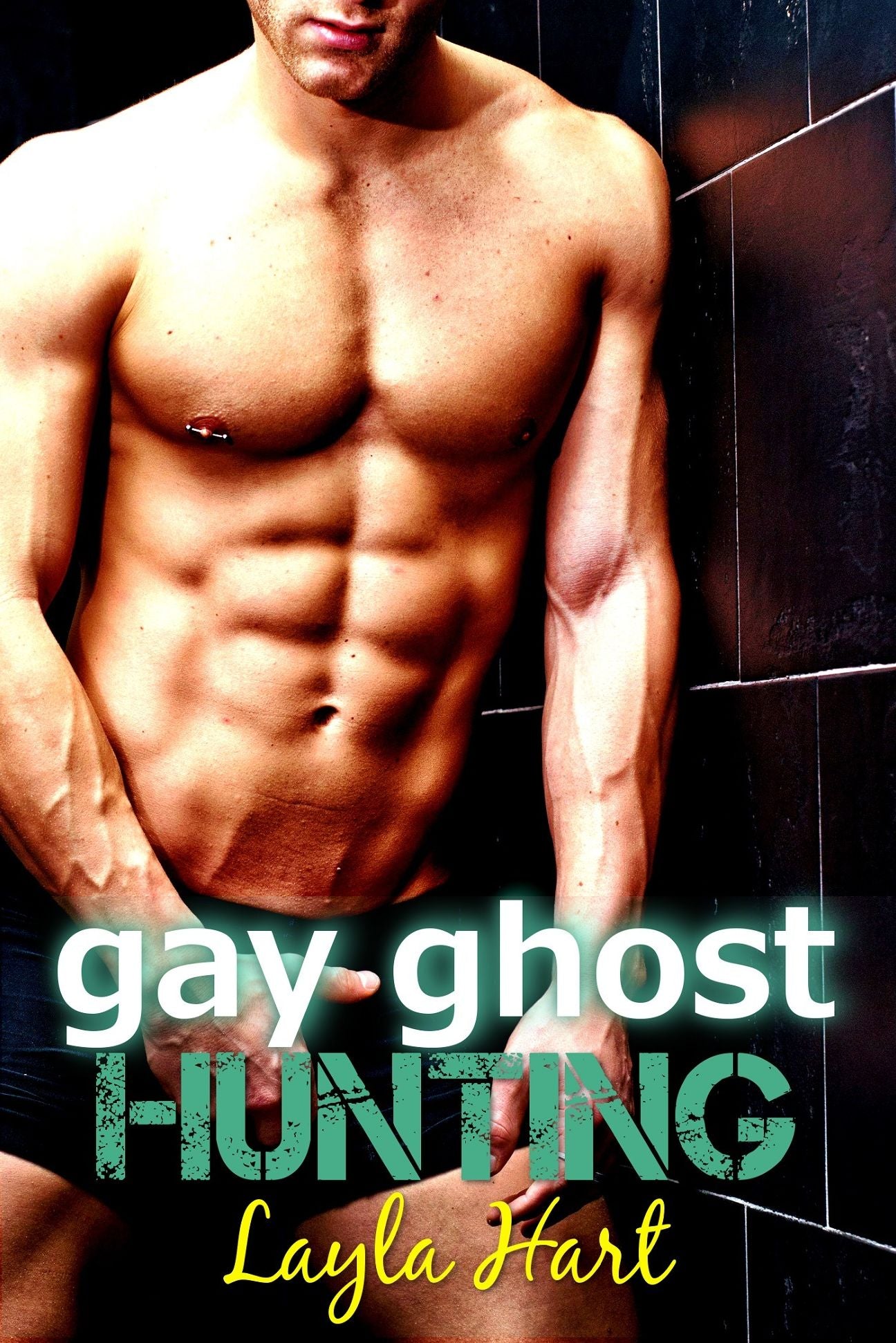 Gay Ghost Hunting (paranormal first time erotica)