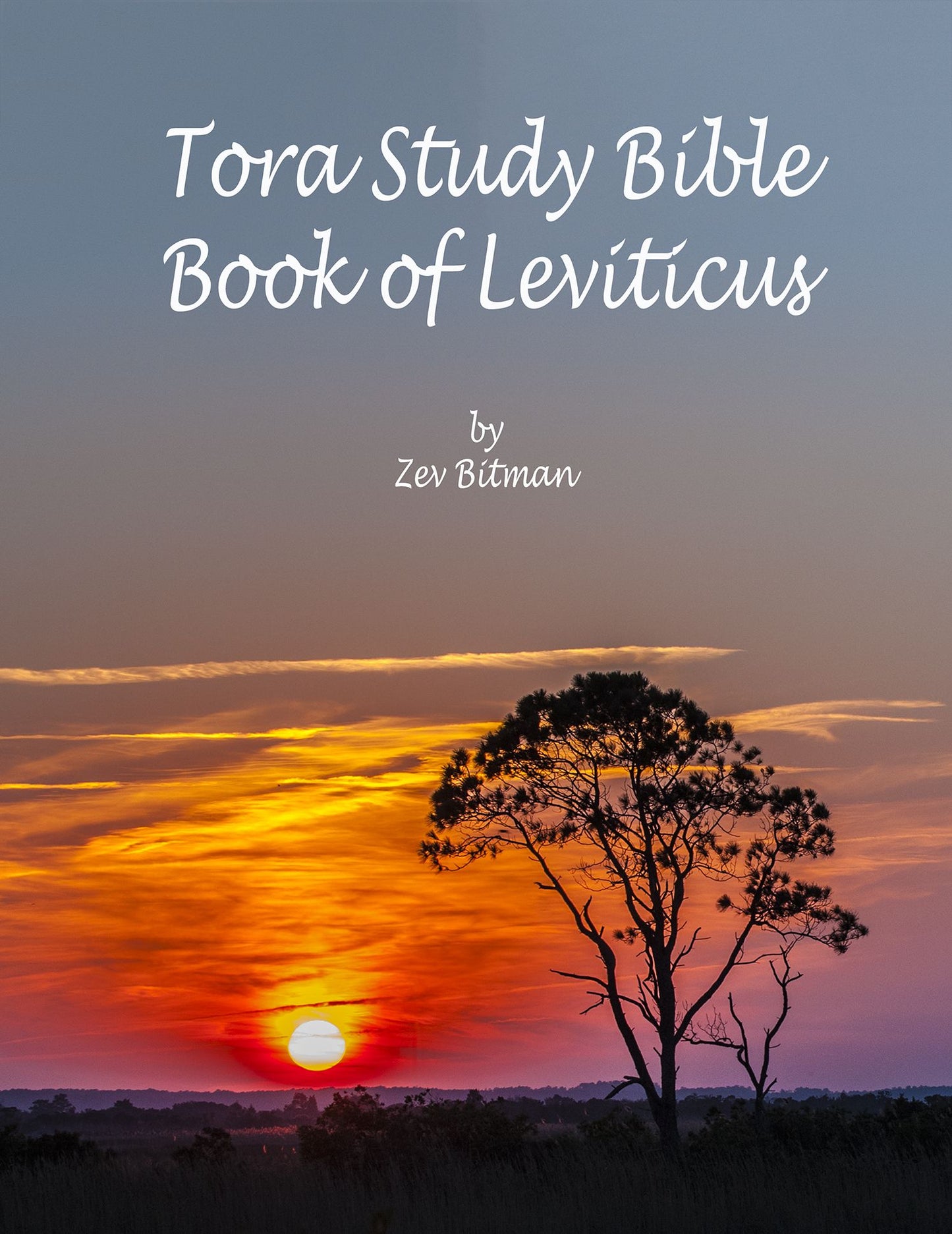 Leviticus