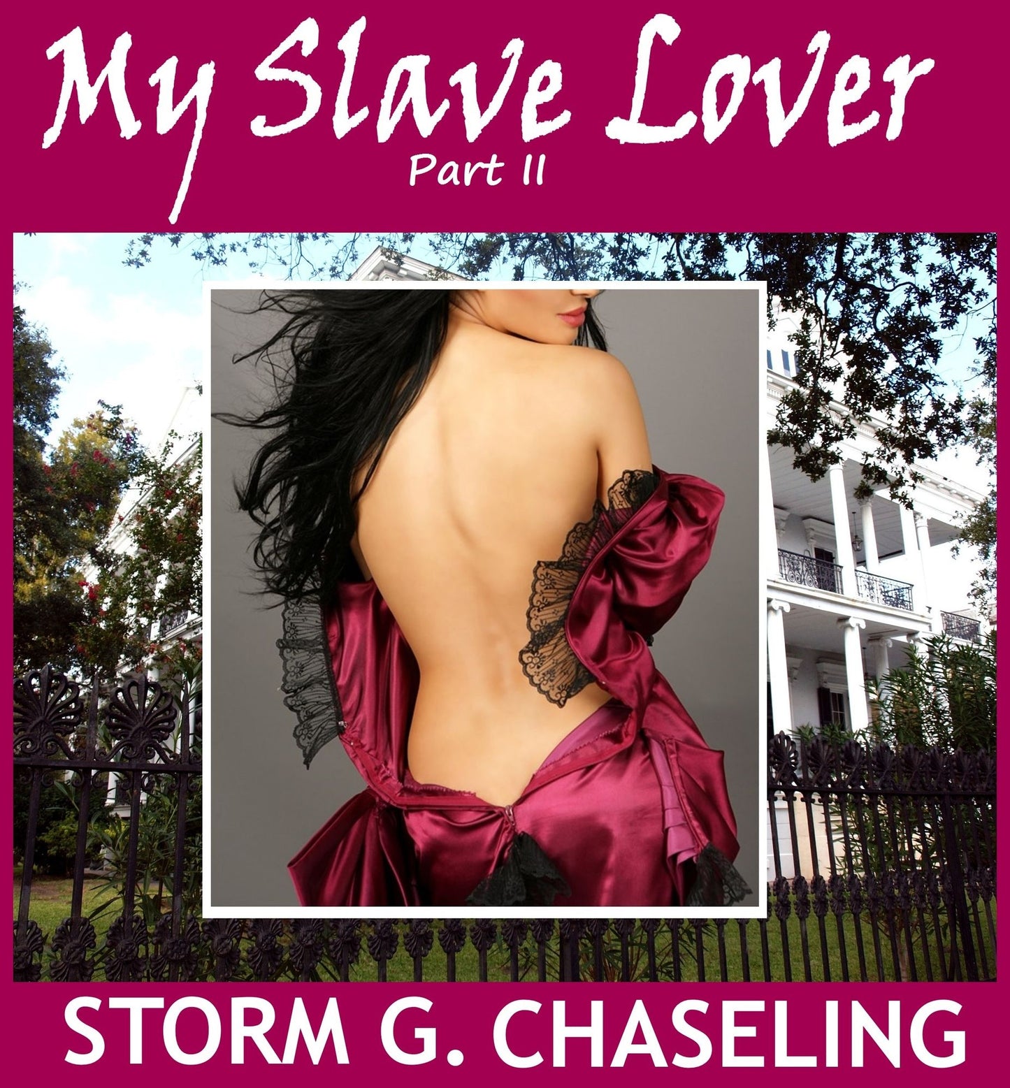 My Slave Lover, Part II