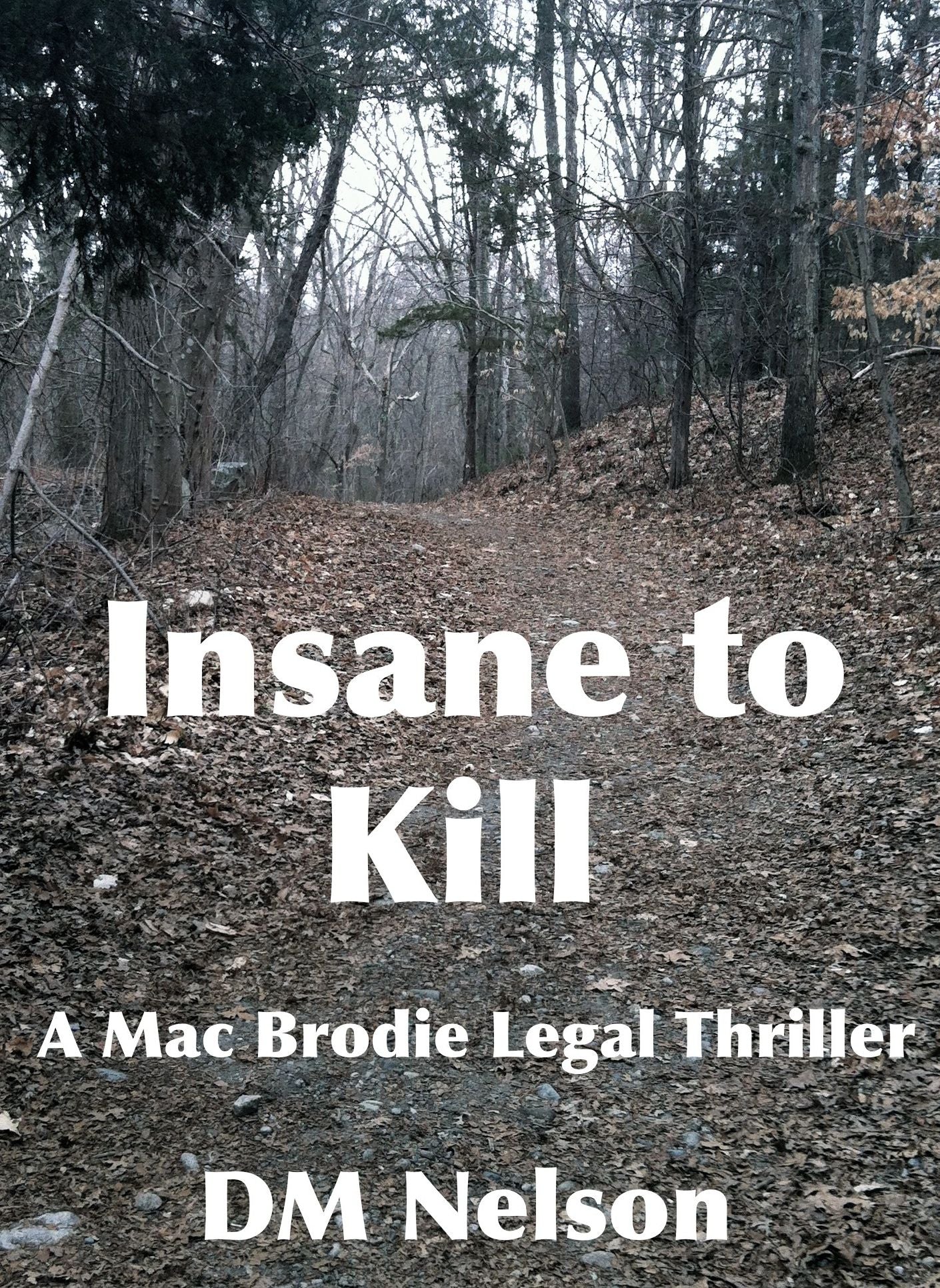Insane to Kill A Mac Brodie Legal Thriller