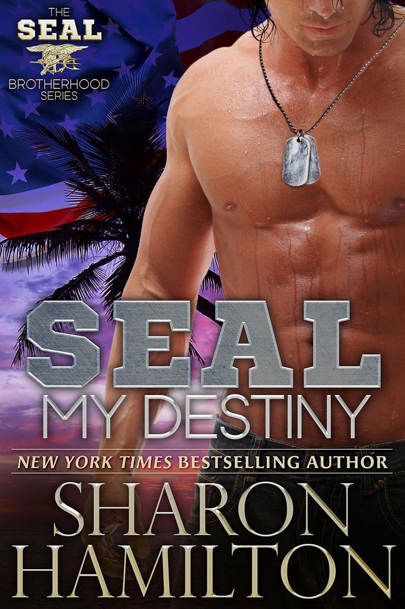 SEAL My Destiny (SEAL Brotherhood Series #6)