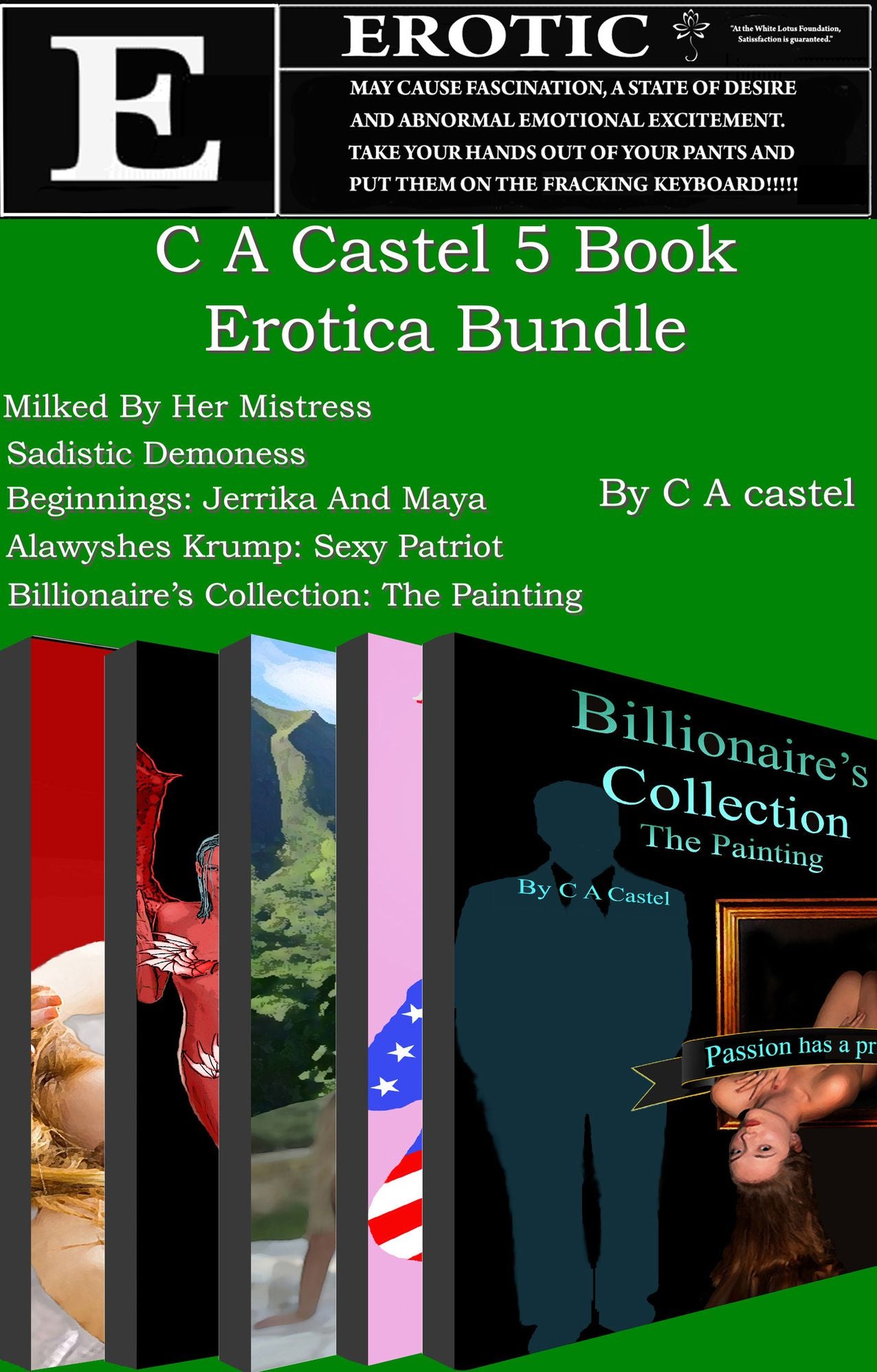 5 Book Bundle Nook Book Edition