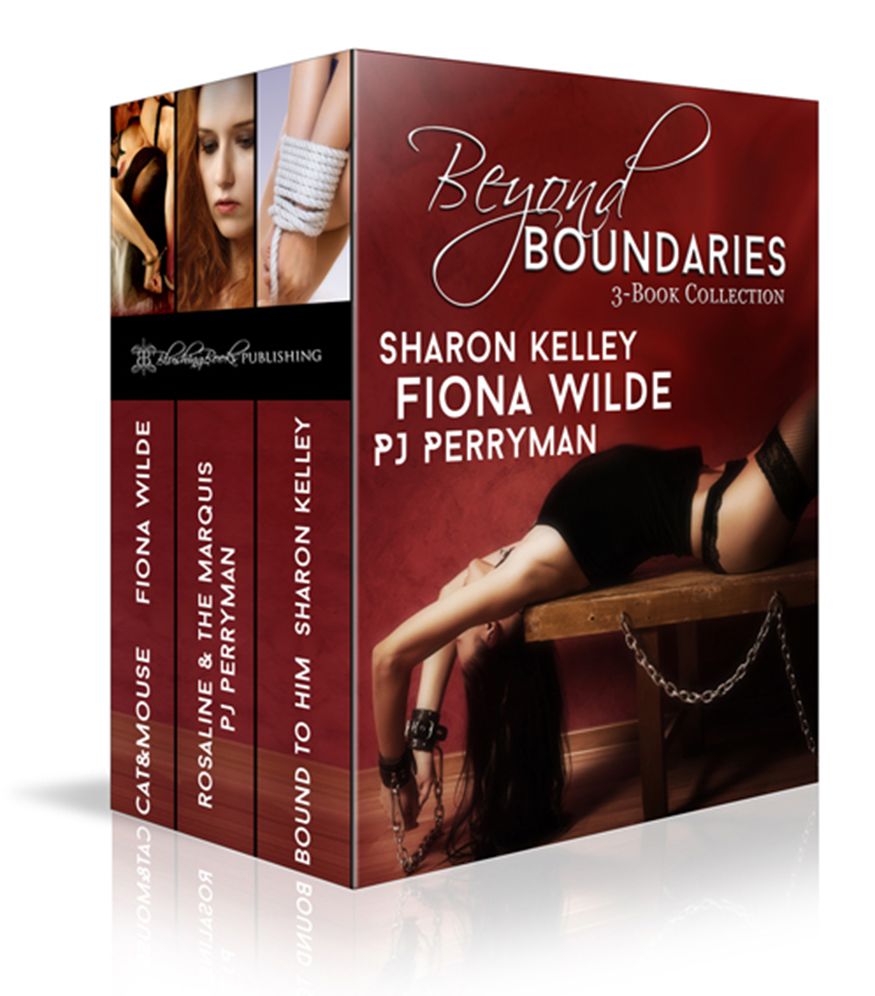Beyond Boundaries