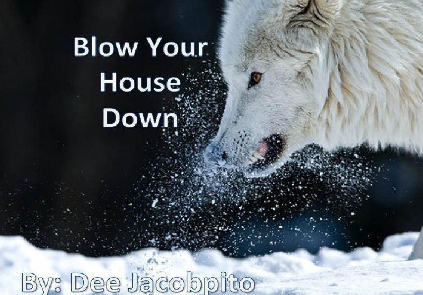Blow Your House Down
