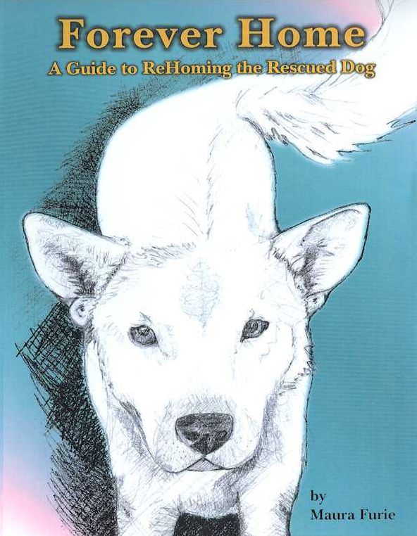 Forever Home: A Guide to ReHoming the Rescued Dog